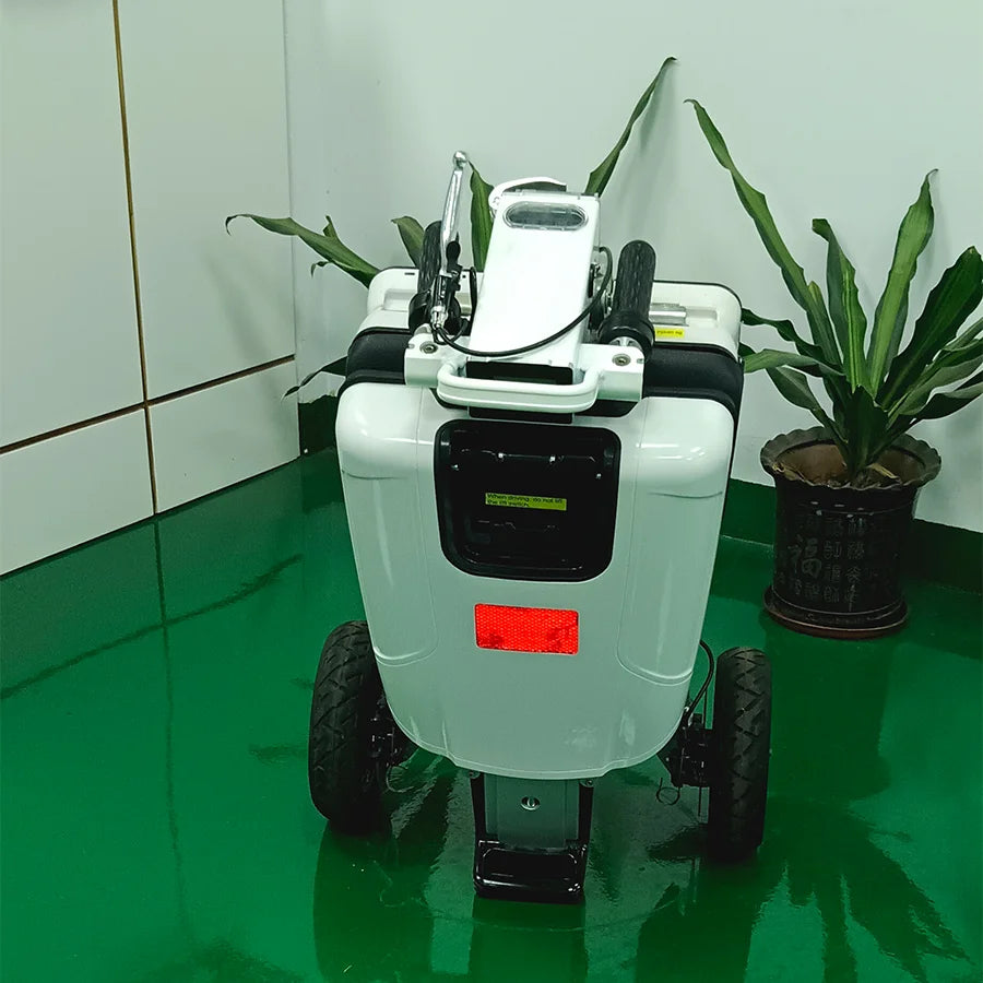 Hot Sell 350W 3 Wheels Lightweight Electric Scooter Disabled Scooter Electric Tricycle for Elderly Adults